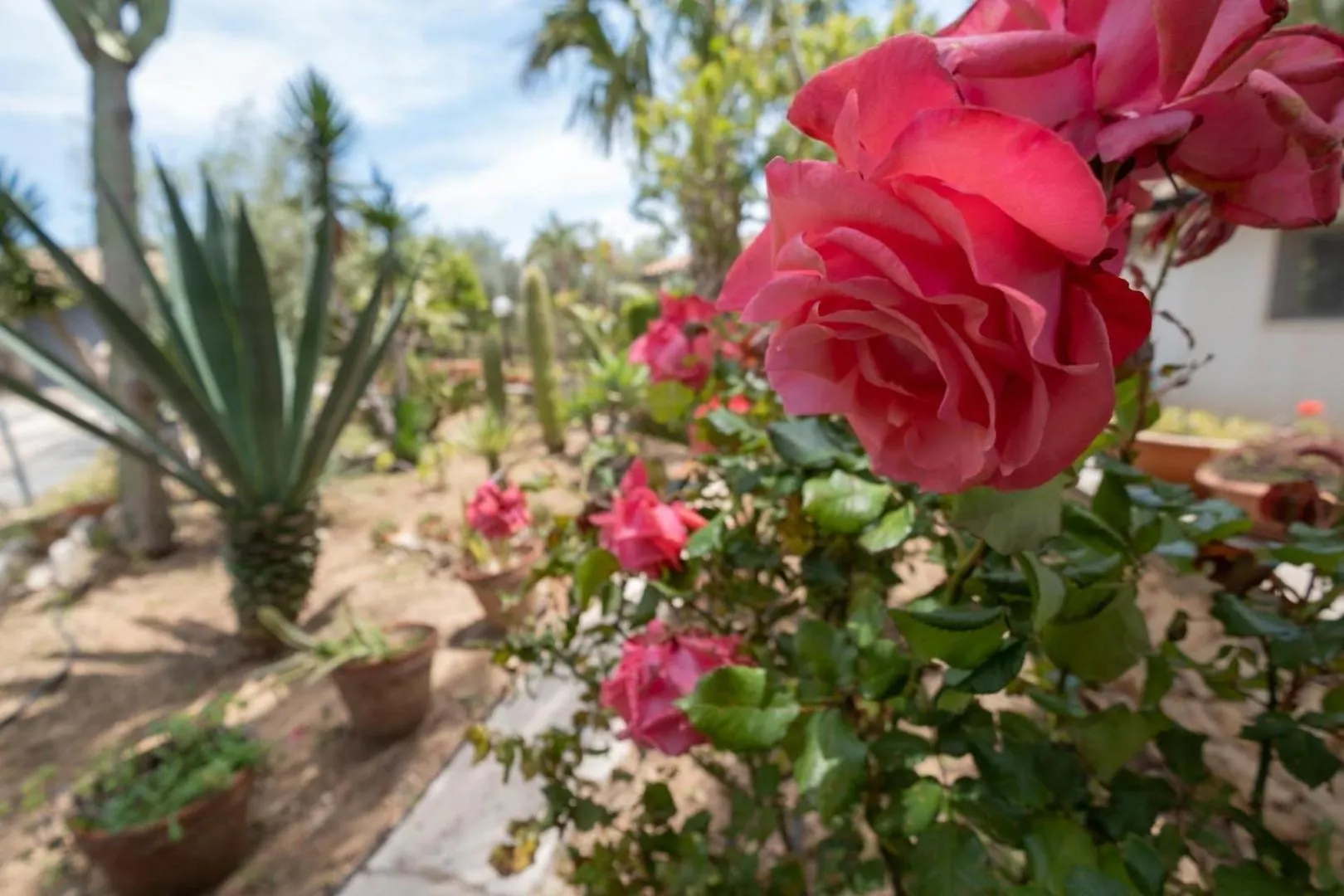 Guest house En-Suite Quadruple Room-Giardino A Mare Donnalucata